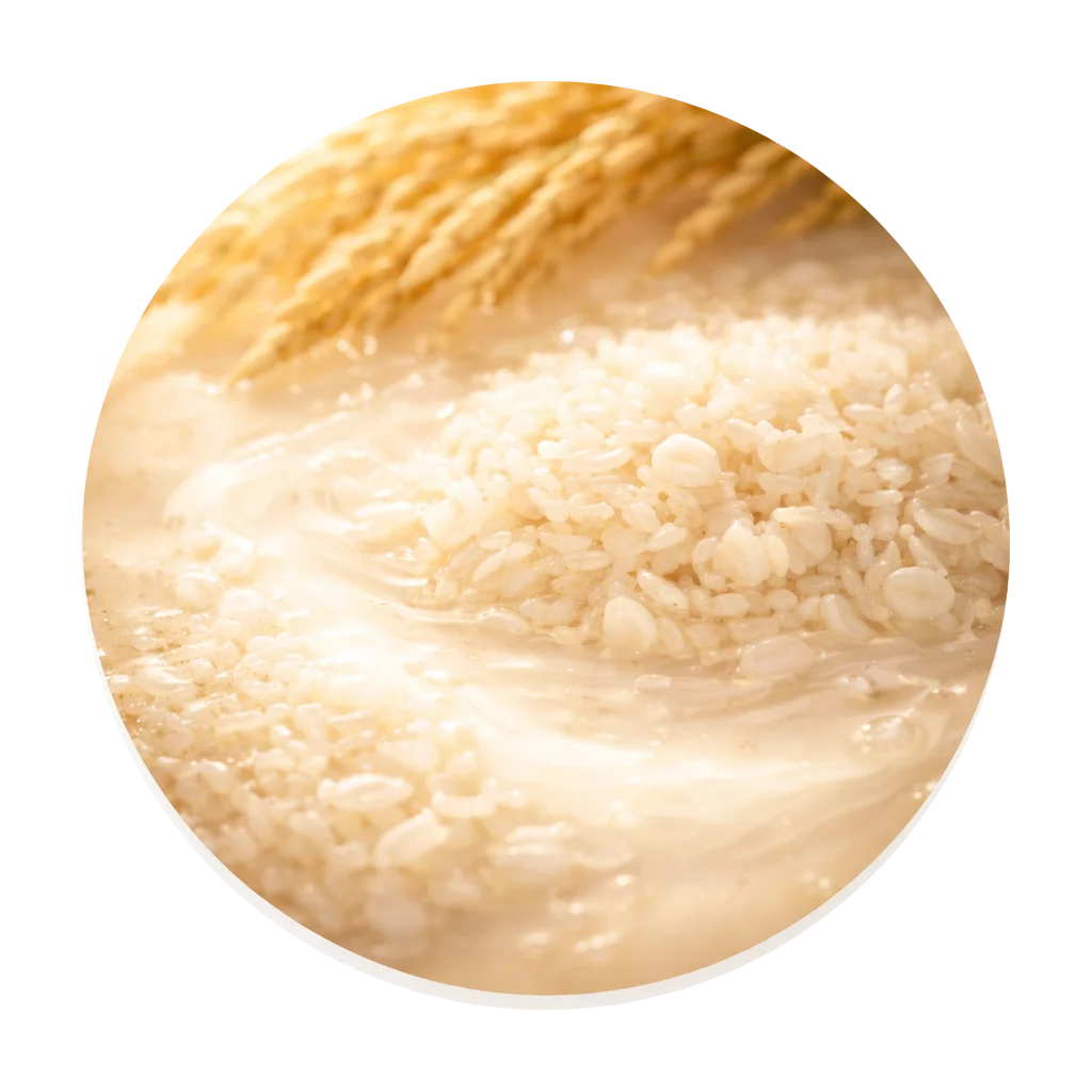 Beauty-of-joseon-glow-serum-rice-bran-water-ingredient
