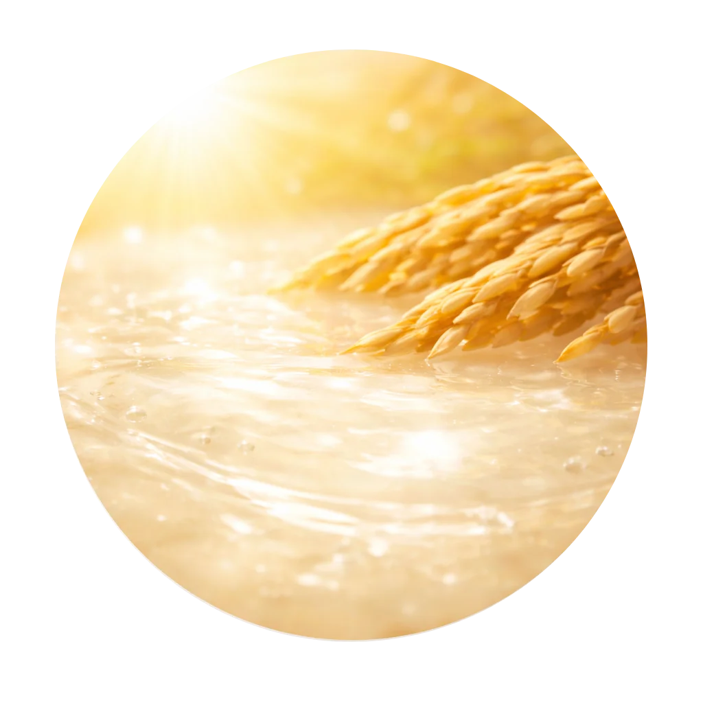 Beauty_of_Joseon_Relief_Sun_Aqua_Fresh_rice-seed-water-ingredient Rice seed water ingredient visual for Beauty of Joseon Relief Sun Aqua-Fresh SPF50+